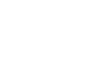 partner-white-dell